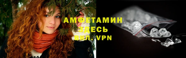 стаф Бородино