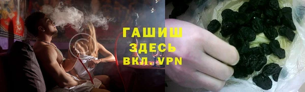 стаф Бородино
