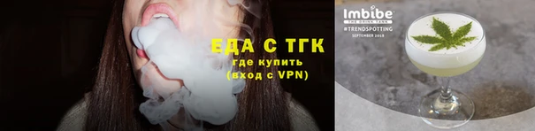 стаф Бородино