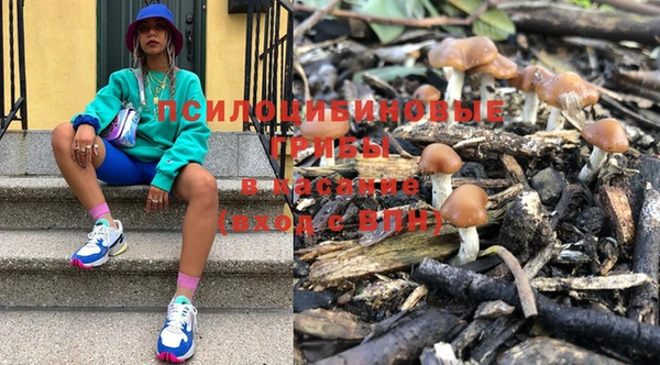 стаф Бородино