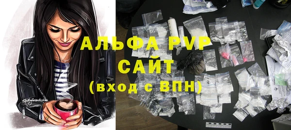 стаф Бородино