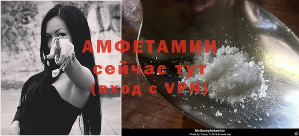стаф Бородино