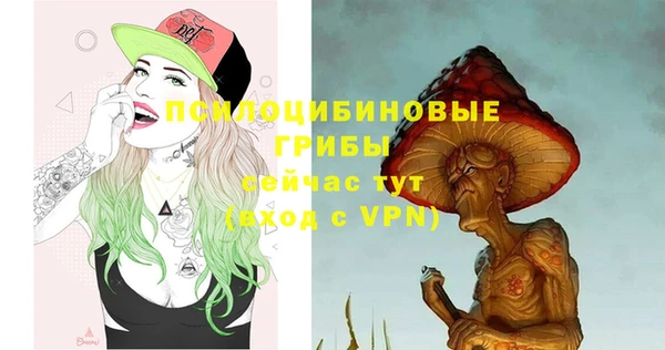 мяу мяу мука Бугульма