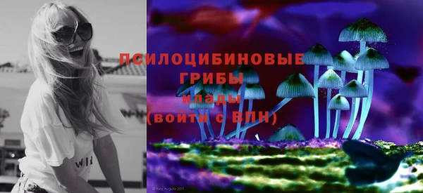 мяу мяу мука Бугульма