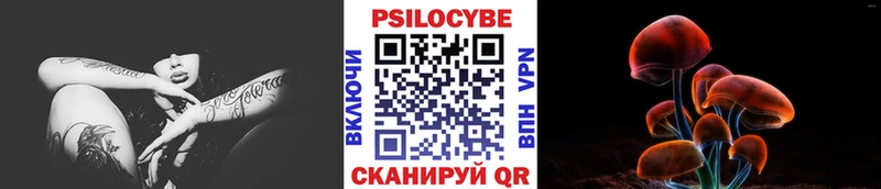 Галлюциногенные грибы Psilocybe  кракен ссылки  Октябрьский 
